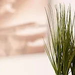 公寓 Loft Con Balcon En El Centro Historico De